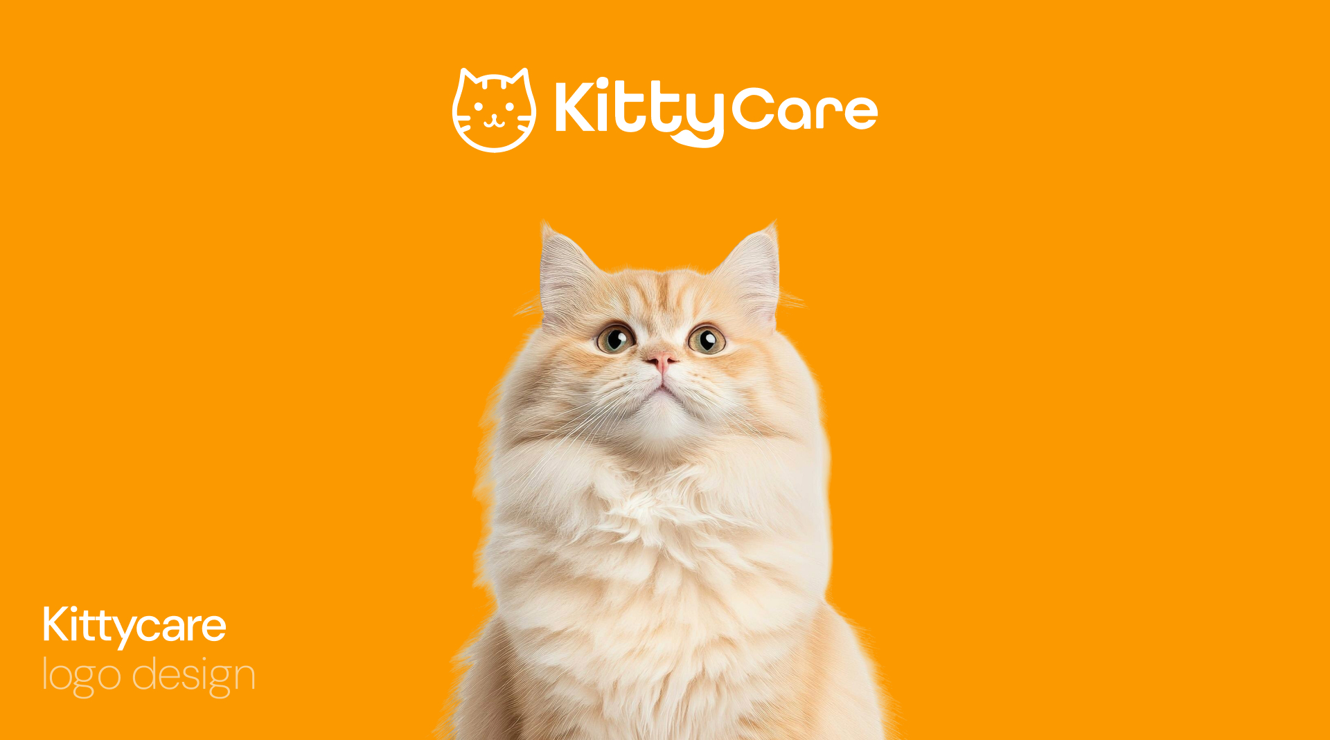 KittyCare