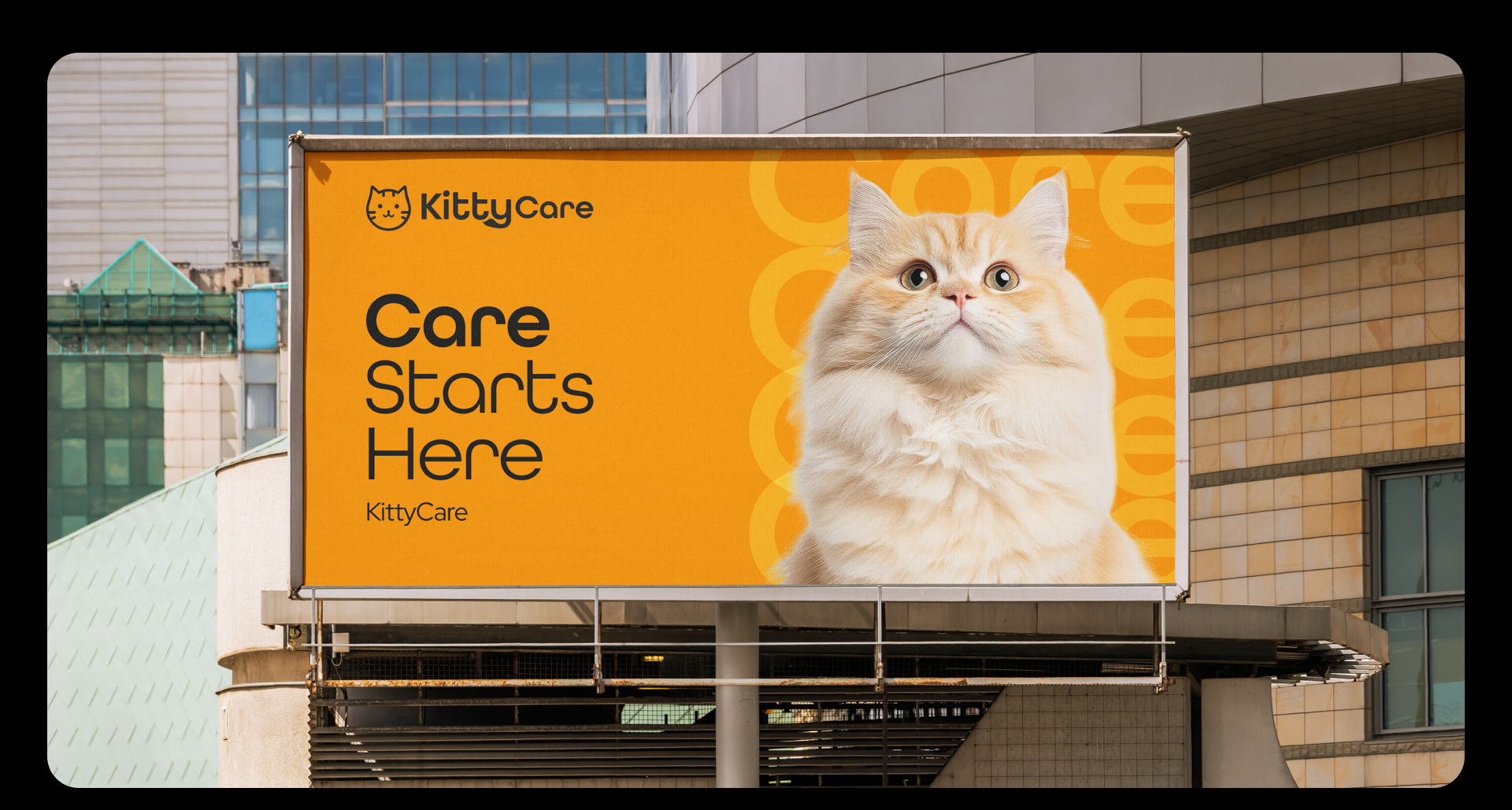 KittyCare